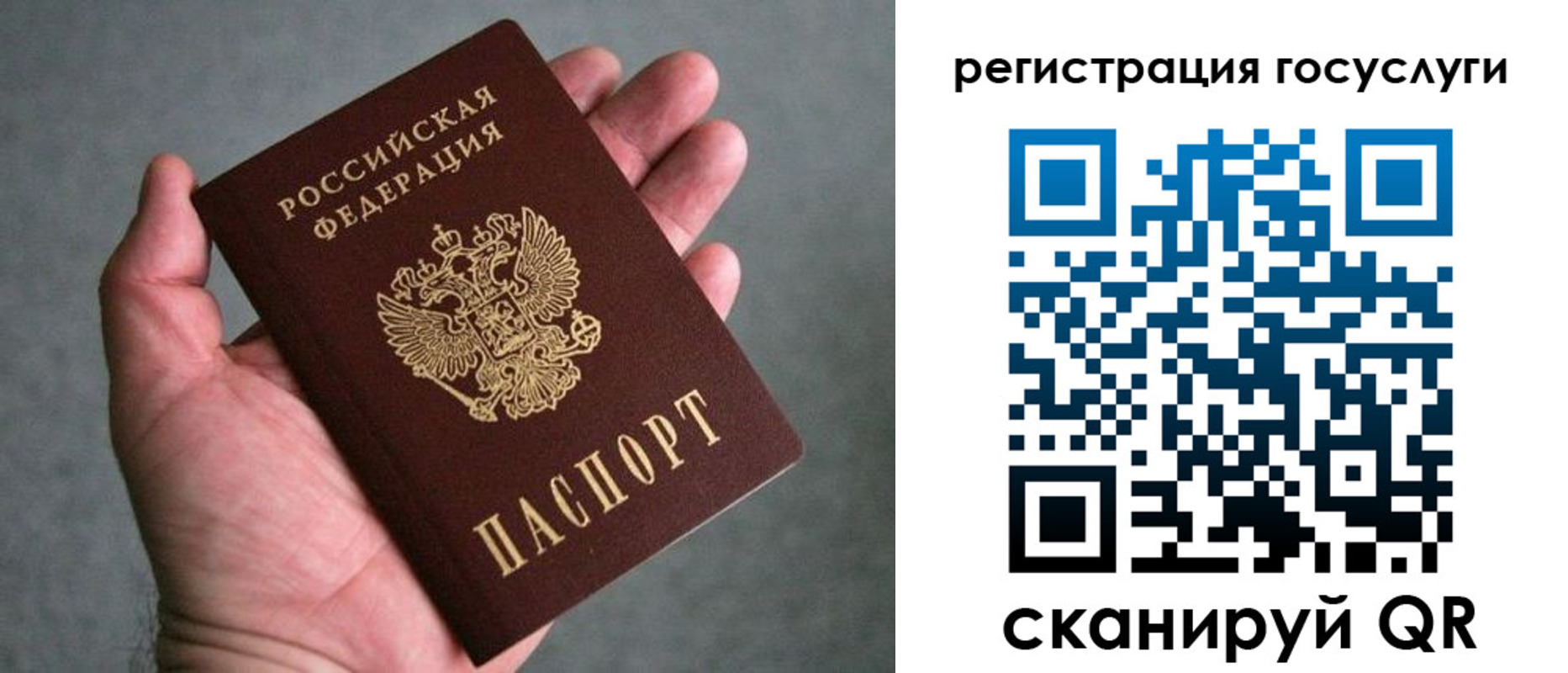 прописка поиск в Кандалакше